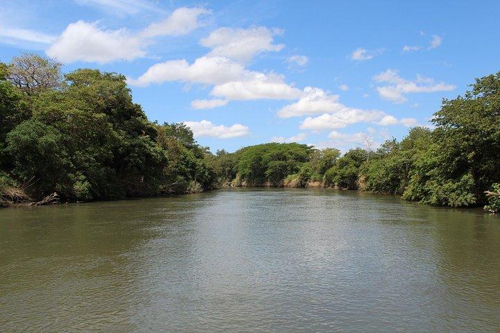 Jungle River Cruise at Palo Verde