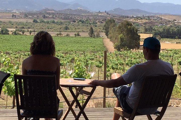 Guadalupe Valley Wine Route Tour in Baja California