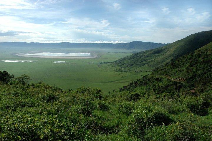 Ngorongoro National Park and Game Drive: Guided Day Tour from Arusha