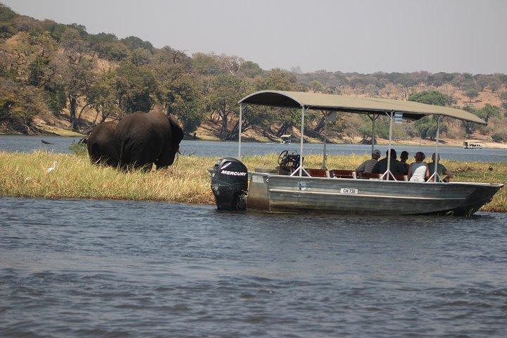2-Day Camping Safari in Chobe National Park from Victoria Falls