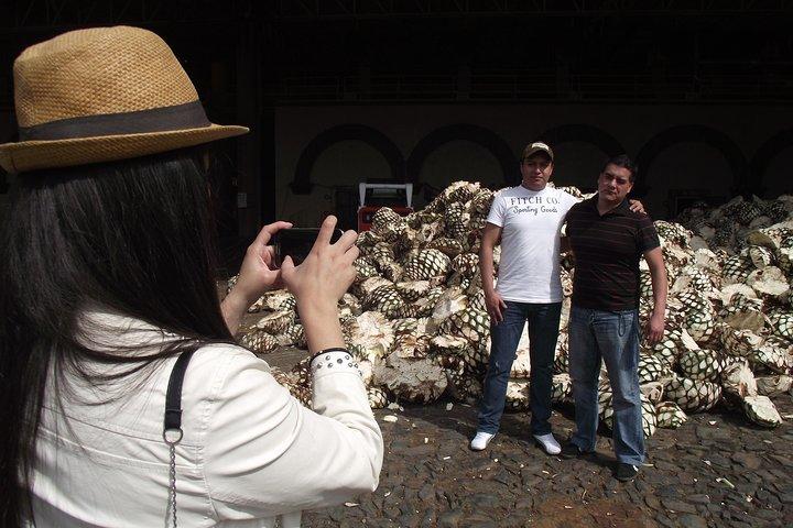 A unique tour! Visiting Hacienda Casa herradura From Guadalajara