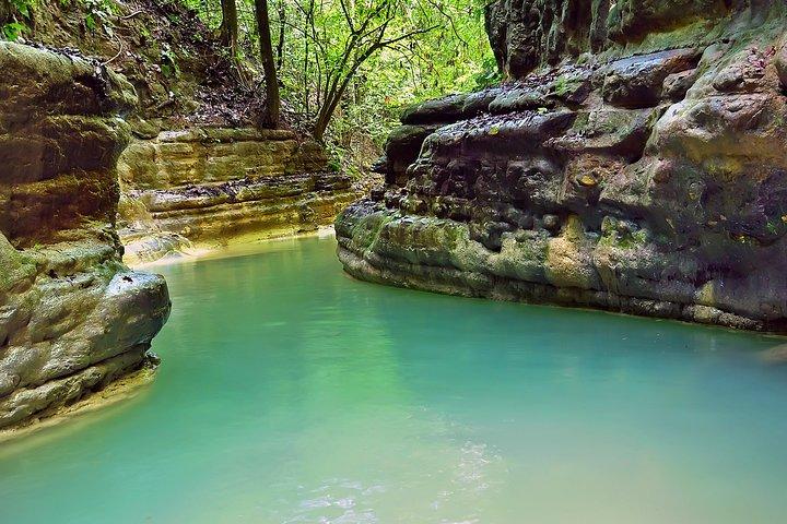Damajagua Waterfalls Adventure from Puerto Plata