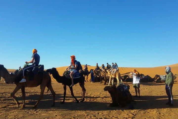 Private 2 Days Tour to Zagora Desert, Camel Treks in Tinfou Dunes from Marrakech