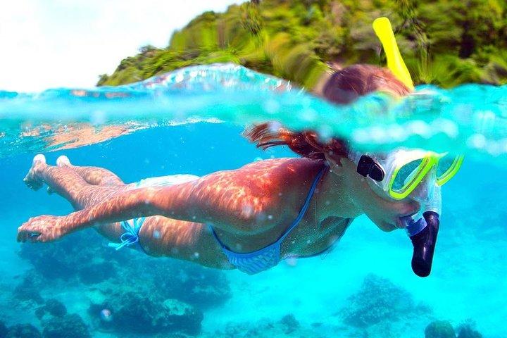 Full-Day Trip to Koh Tao and Koh Nang Yuan from Koh Samui by Speedboat