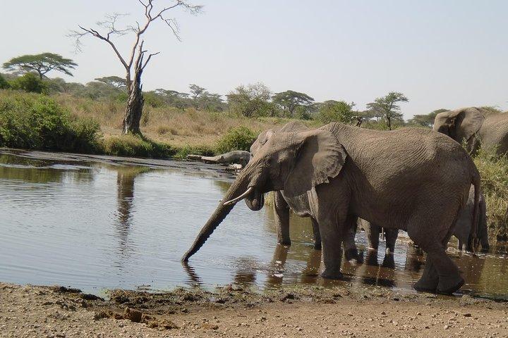 4 Days Lake Manyara, Ngorongoro and Tarangire National Park