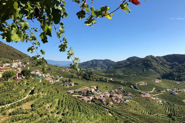 A Sparkling Day in the Prosecco Hills from Venice