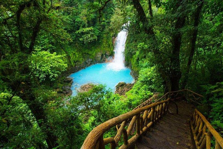 Rio Celeste Waterfall at Tenorio Volcano and Sloth Watching Tour From San Jose