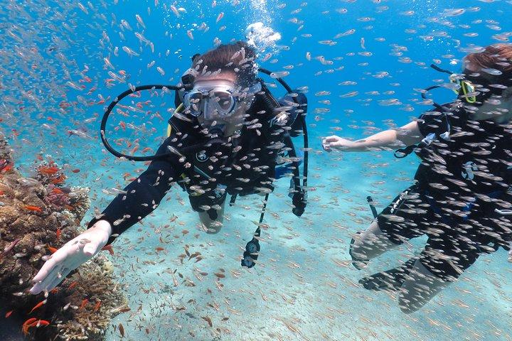 Introduction Diving on Coral Reef with private instructor ( 25 min )