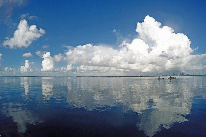 Cancun Mangrove Channel Adventure with Transportation
