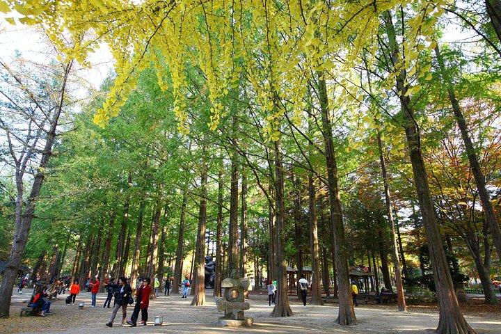 Nami Island & Petite France