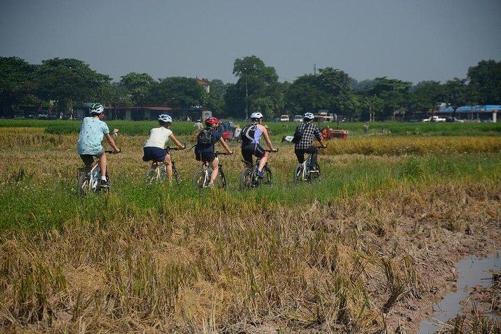 Bicycle Tours Hanoi: Full Day Bicycle Tours City & Countryside