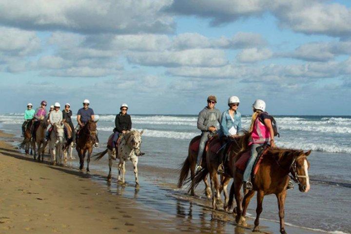 Horse Riding on the Black Sand Beach and Free Hotel Transfers