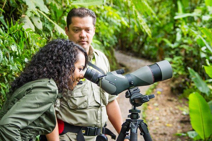 Full Day to Selvatura Monteverde Cloud Forest from Guanacaste