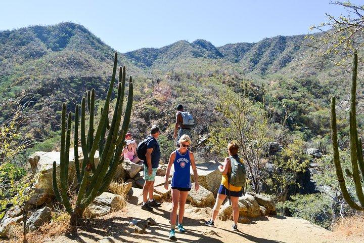 Los Cabos: Hiking at the Fox Canyon with Waterfall