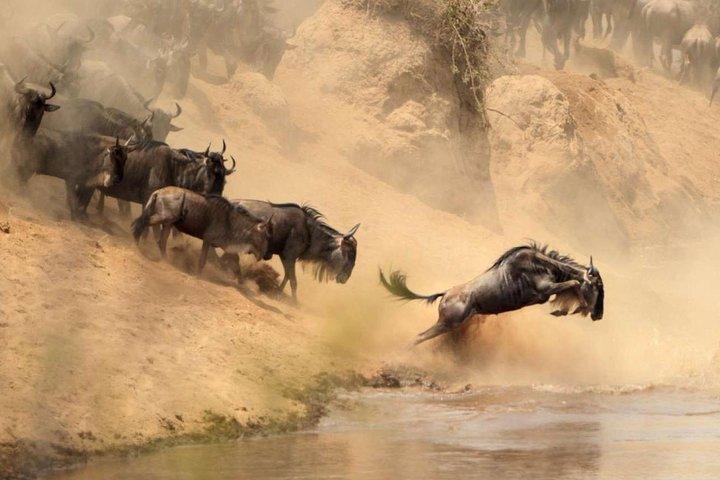 4 Days Serengeti, Tarangire, Ngorongoro Safari Tour