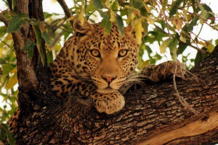 3-days safari in Tarangire, Lake Natron and Ngorongoro Crater
