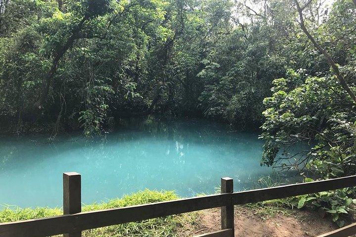 The Rio Celeste And Tenorio Volcano Hike from Playa Hermosa- Tamarindo Guanacaste