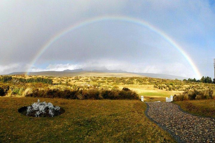 Horseback Ride & Hike in Cotopaxi Volcano Day Trip from Quito
