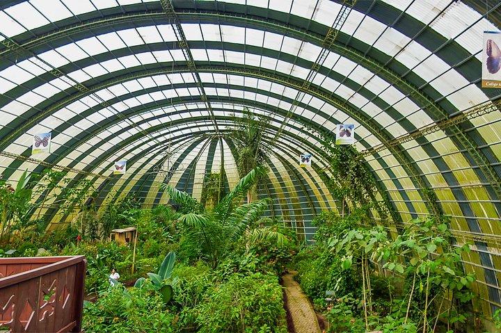 Full Day to Selvatura Monteverde Cloud Forest from Guanacaste