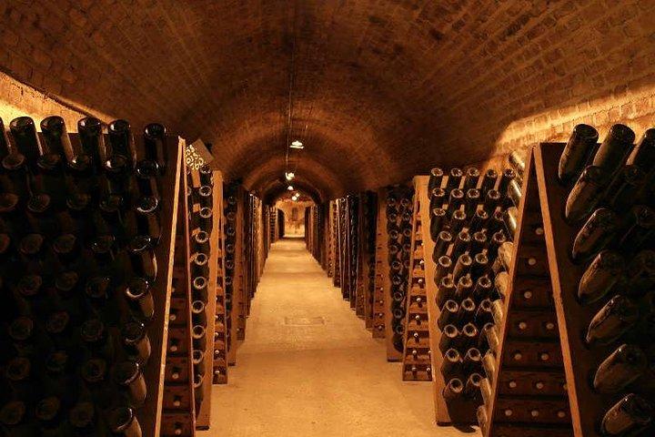 Paris: Champagne Day Trip with Tastings, Cathedral & Pickup