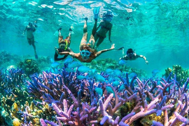 Bloo Lagoon Snorkeling East Bali Includes Transportation & Lunch