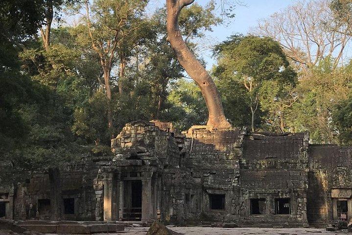 Angkor Wat by Vintage Jeep – Private Tour