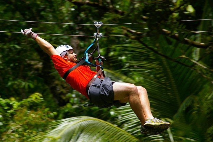 Treetop Canopy Adventure