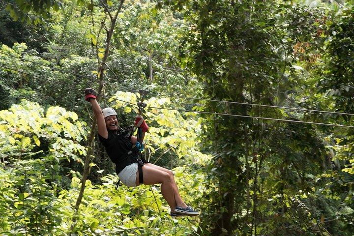 Treetop Canopy Adventure