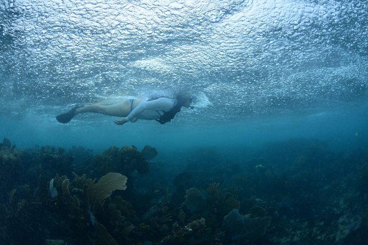 Snorkel, ATV, Zipline and Cenote Adventure from Cancun