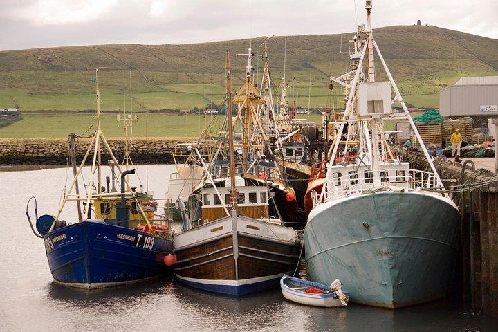 Dingle Peninsula Day Tour from Limerick: The Wild Atlantic Way