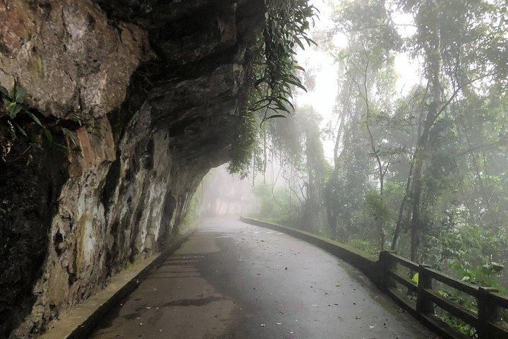 Rio de Janeiro: Jeep Tour to Tijuca Forest