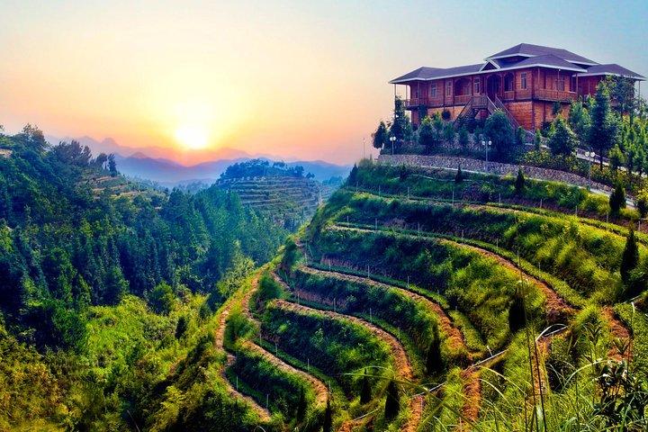 Private Day Tour: Anxi Tea Garden And Hongen Rock From Xiamen