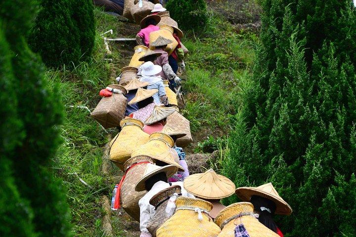 Private Day Tour: Anxi Tea Garden And Hongen Rock From Xiamen