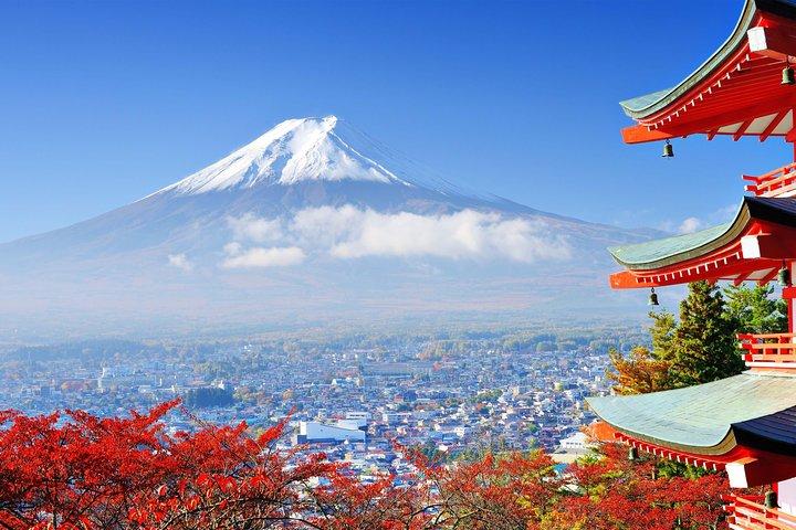 Tokyo to Hakone: Private & Personalized Day Trip with a Local