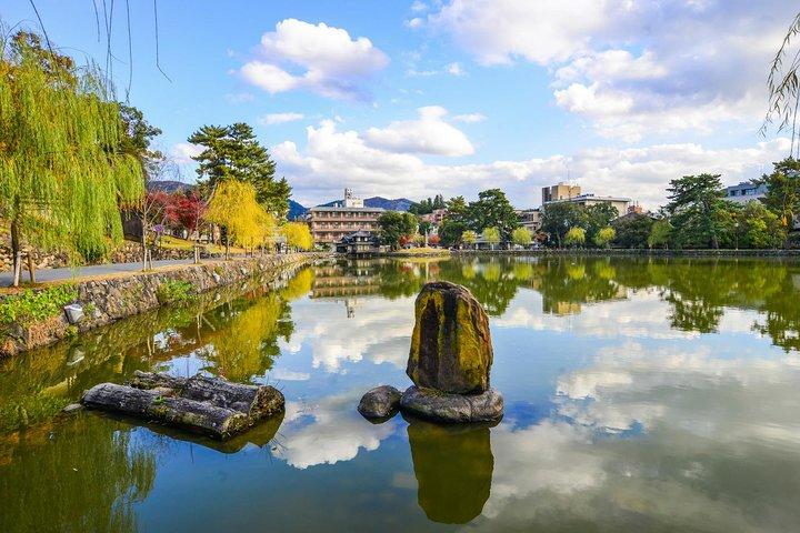 Osaka to Nara Day Trip with a Local – Private & Personalized