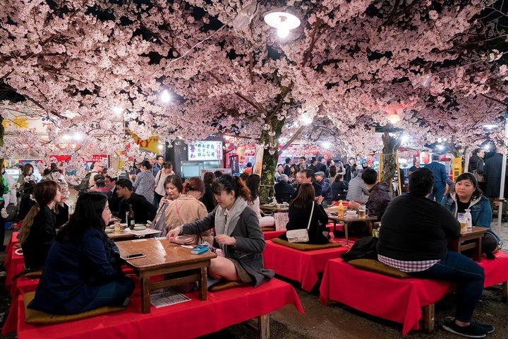 Private & Unique Kyoto Cherry Blossom "Sakura" Experience