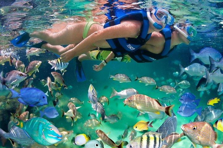 Xel ha All Inclusive