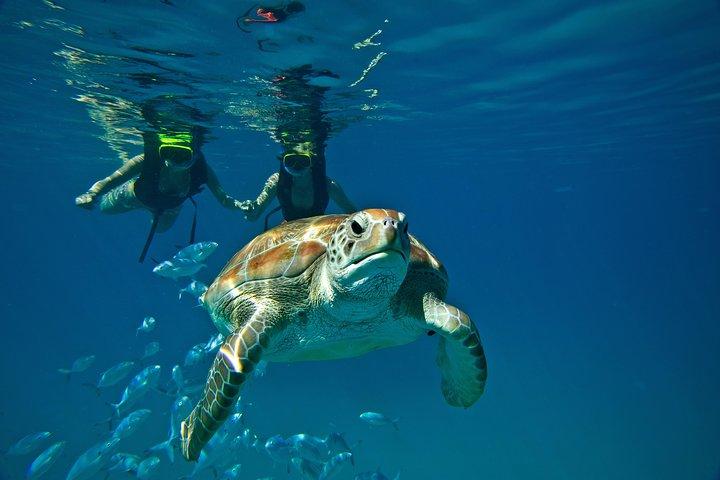 Sunset Catamaran and Snorkeling Cruise At Carlisle Bay