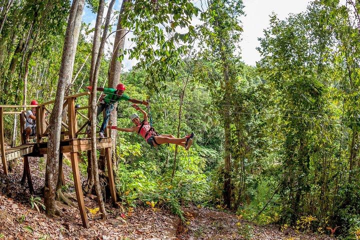 Treetop Zipline Experience From Castries