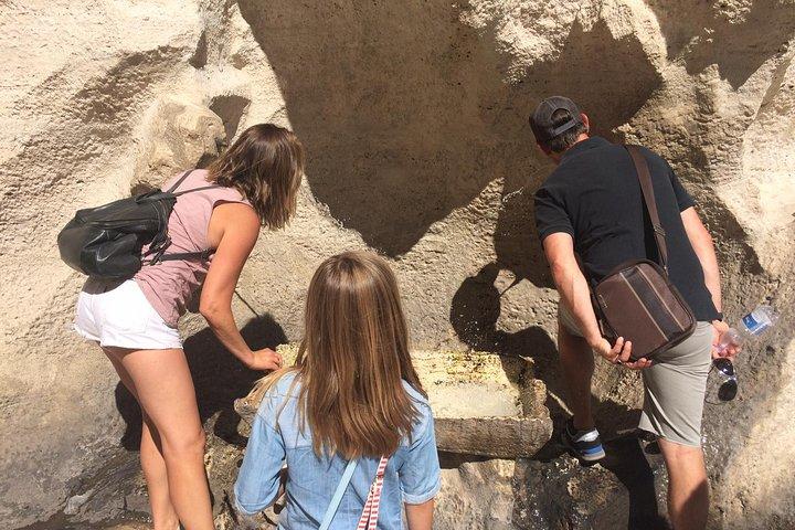 Sightseeing Walking Tour of Rome By Night: Trevi Fountain & Other Highlights