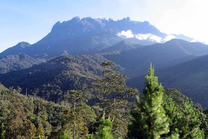 Kinabalu Park & Poring Hot Spring Tour