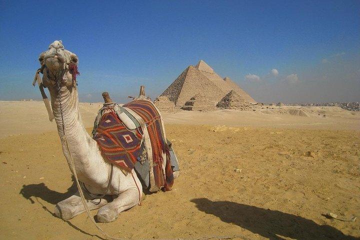 Giza Pyramids, Sakkara Pyramids & Memphisl Day Tour Include Lunch