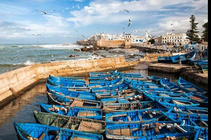 Marrakesh to Essaouira:Small group tour