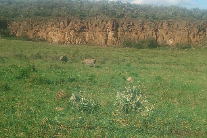 Hell's Gate National Park,Biking and Lake Naivasha Tour
