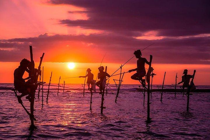 Galle Day Tour with Stilt Fishing Experience from Colombo