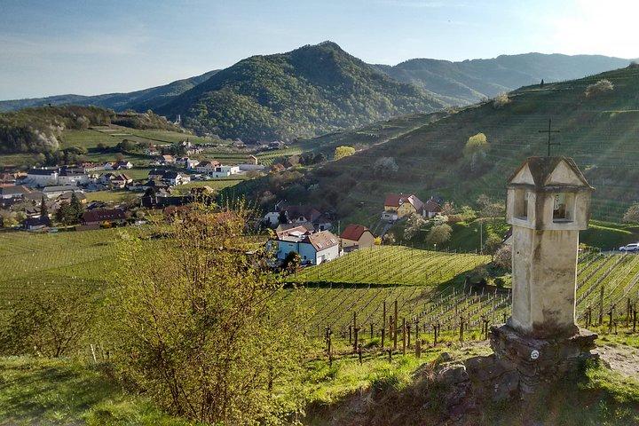 3-Hour Private Hiking Tour to historic places around Spitz in Wachau Valley