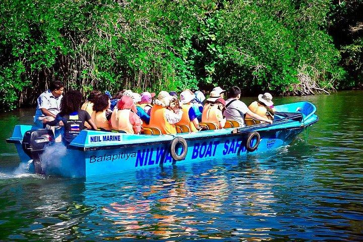 Private Galle Day Tour with Boat Safari & Tea Factory Visit - All Inclusive
