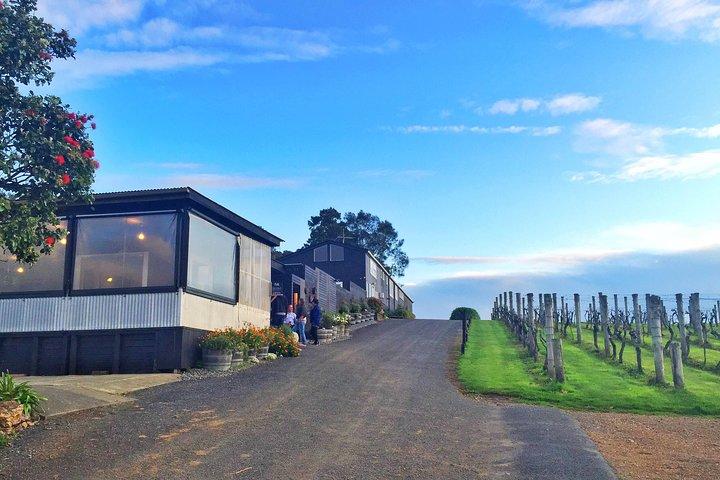 Waiheke Island Premium Wine Tour with Tastings