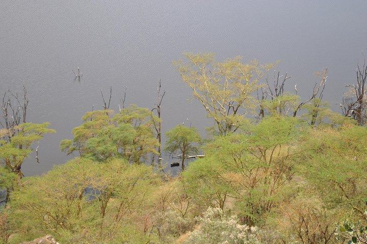 Lake Nakuru National Park - Full Day Tour
