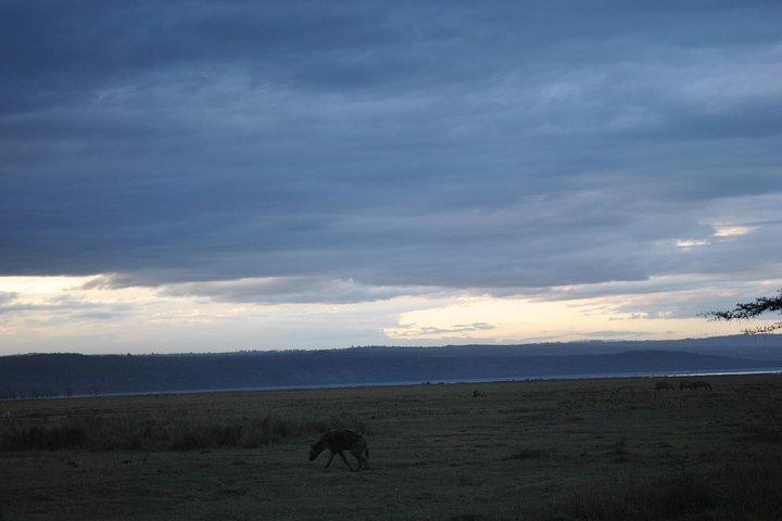 Lake Nakuru National Park - Full Day Tour